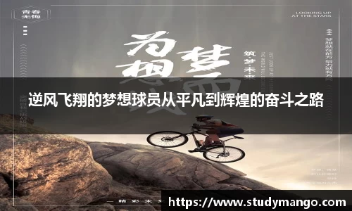 逆风飞翔的梦想球员从平凡到辉煌的奋斗之路