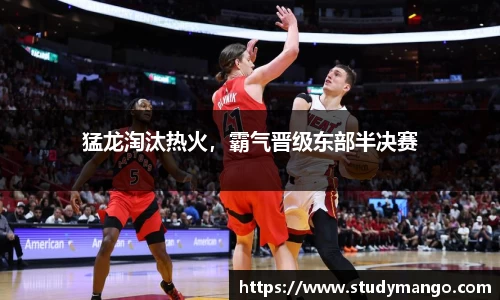 猛龙淘汰热火，霸气晋级东部半决赛