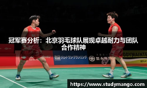 冠军赛分析：北京羽毛球队展现卓越耐力与团队合作精神