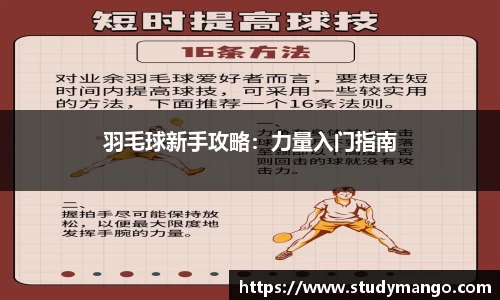 羽毛球新手攻略：力量入门指南