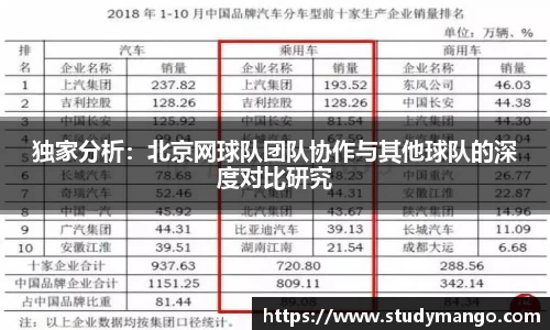 独家分析：北京网球队团队协作与其他球队的深度对比研究