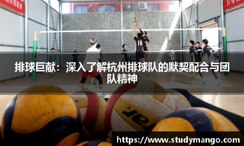 排球巨献：深入了解杭州排球队的默契配合与团队精神