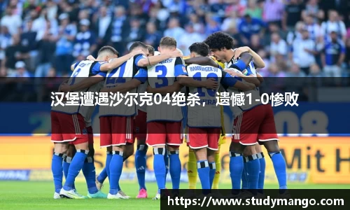 汉堡遭遇沙尔克04绝杀，遗憾1-0惨败