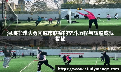 深圳排球队勇闯城市联赛的奋斗历程与辉煌成就揭秘