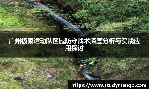 广州极限运动队区域防守战术深度分析与实战应用探讨
