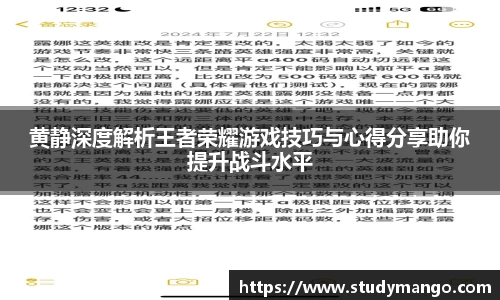 黄静深度解析王者荣耀游戏技巧与心得分享助你提升战斗水平