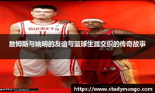 博鱼中国官方入口