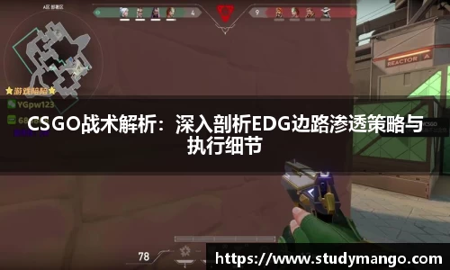 CSGO战术解析：深入剖析EDG边路渗透策略与执行细节