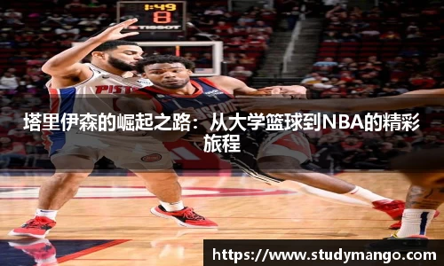 博鱼.boyu体育