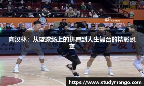 博鱼.体育官网