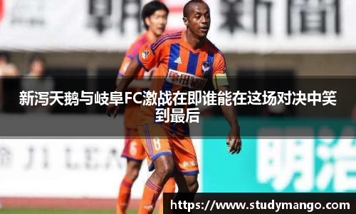 新泻天鹅与岐阜FC激战在即谁能在这场对决中笑到最后