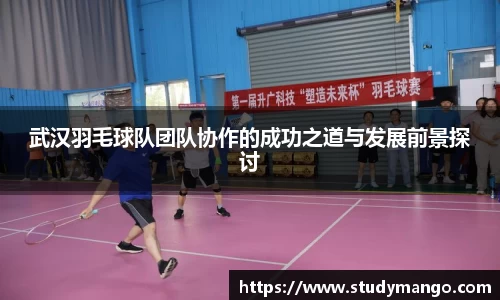 武汉羽毛球队团队协作的成功之道与发展前景探讨